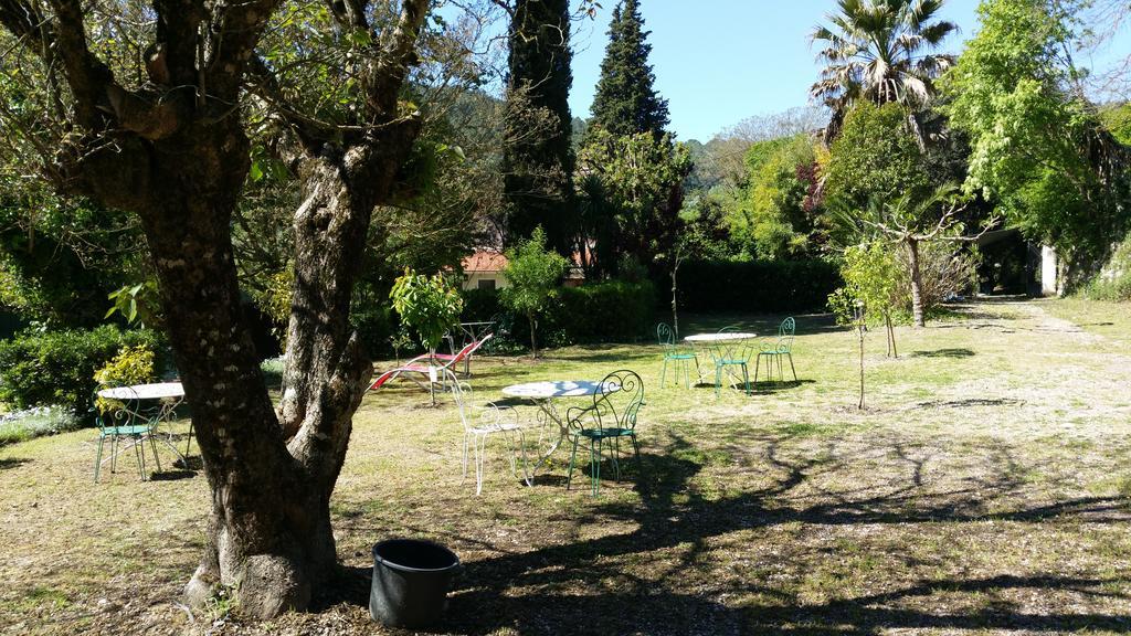 Le Clos Du Loup لا كول سور لو المظهر الخارجي الصورة